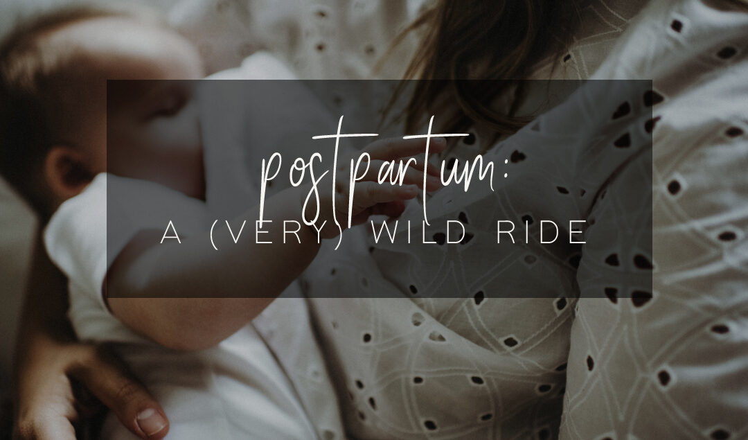 Postpartum Is A Wild Ride