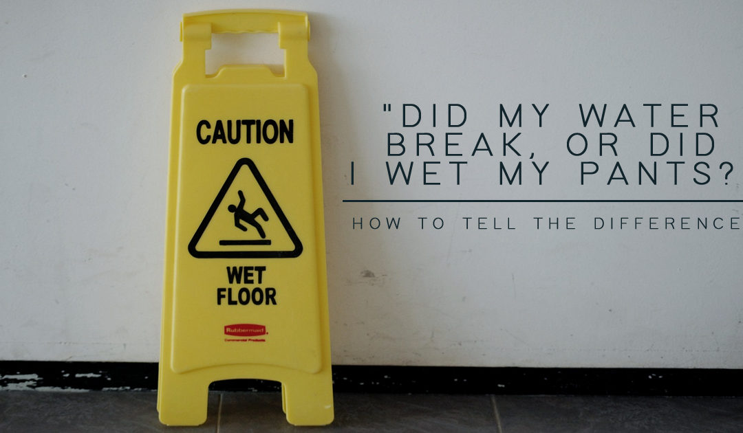 Did my water break? Harbour City Doulas Nanaimo Doulas