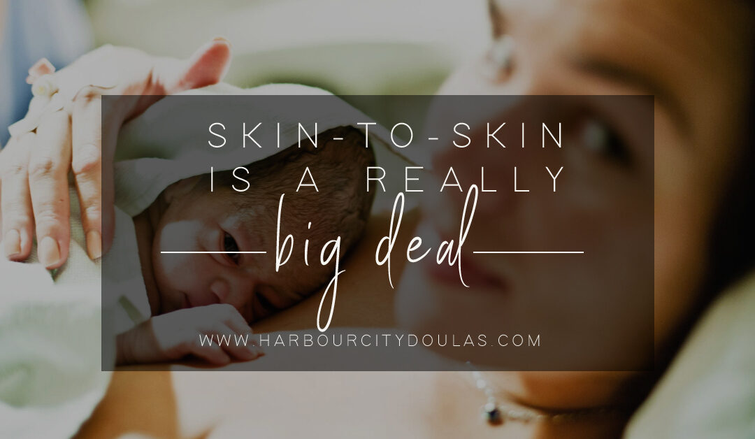 Skin-to-Skin Is A Really Big Deal
